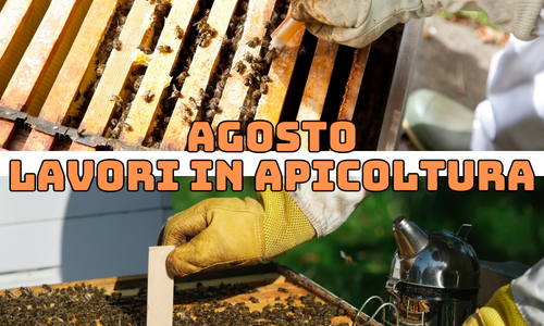 Attività dell'apicoltore nel mese di Agosto - Nord Italia
