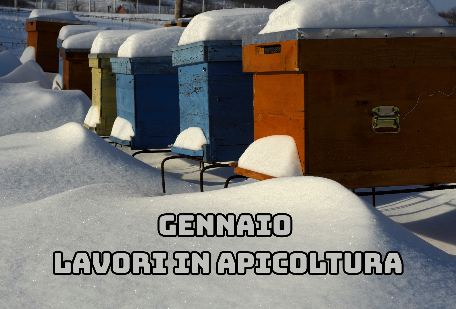 Attività dell'apicoltore nel mese di Gennaio - Nord Italia