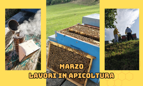Attività dell'apicoltore nel mese di Marzo - Nord Italia
