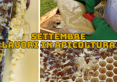 Attività dell'apicoltore nel mese di Settembre - Nord Italia