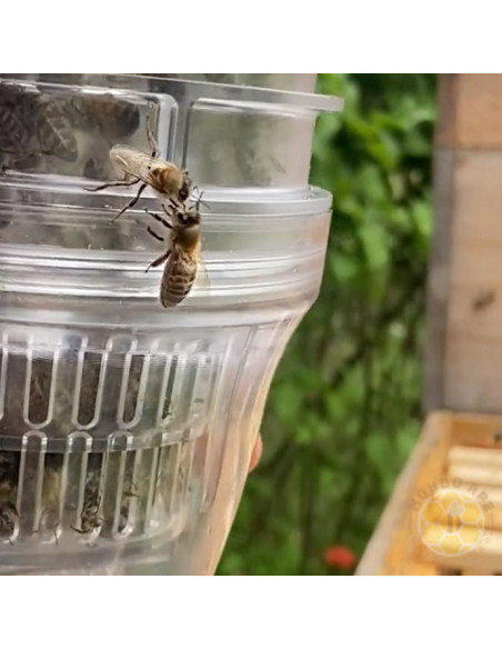 VARROA TESTER BEEVITAL PER MONITORAGGIO INFESTAZIONE DA VARROA