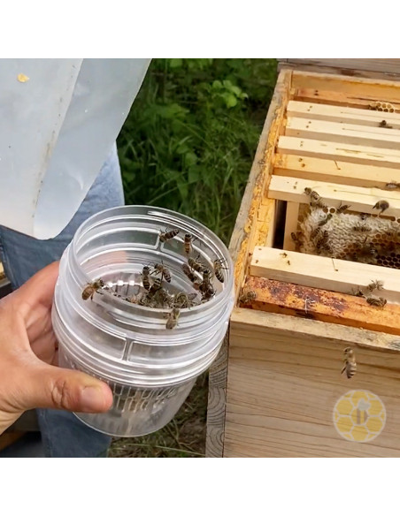 VARROA TESTER BEEVITAL PER MONITORAGGIO INFESTAZIONE DA VARROA