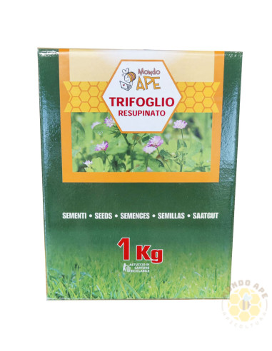 TRIFOGLIO RESUPINATO (TRIFOLIUM RESUPINATUM) – SEMI DI PIANTA MELLIFERA E DA SOVESCIO | MONDO APE