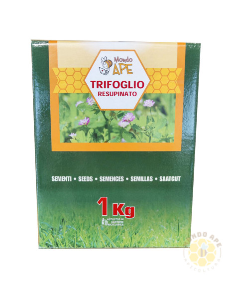 TRIFOGLIO RESUPINATO (TRIFOLIUM RESUPINATUM) – SEMI DI PIANTA MELLIFERA E DA SOVESCIO | MONDO APE