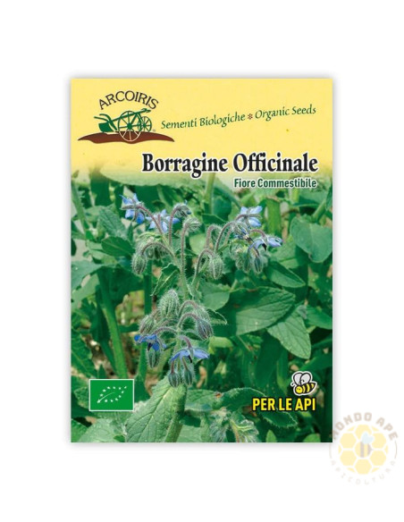 SEMI DI BORRAGINE OFFICINALIS