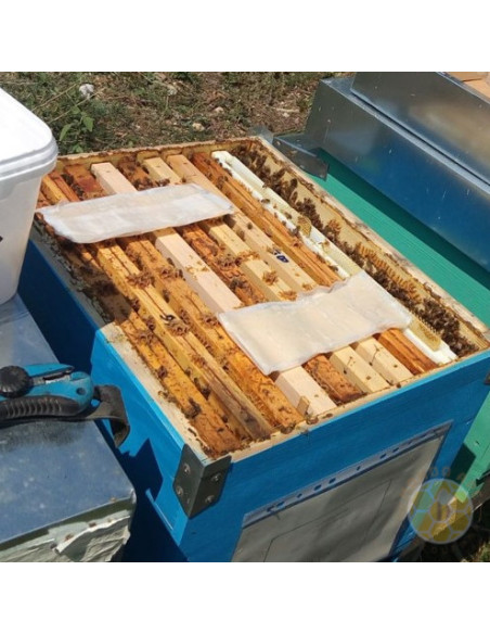 ACIDO FORMICO VARROA 60 STRISCE SOSTITUITO DA FORMIC PRO | MONDO APE