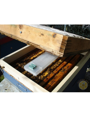 EVAPORATORE BIOLETALVARROA FORMIC PER ACIDO FORMICO | MONDO APE