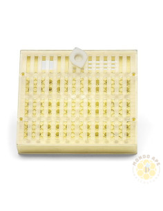CUPOLARVE PER PRODUZIONE API REGINE CON CUPOLINI 145X130X30 MM | MONDO APE